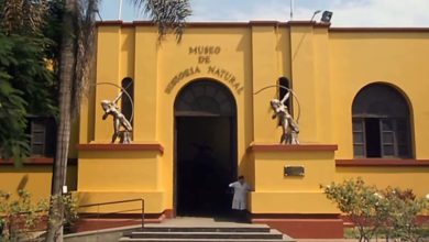 Museo de Historia Natural de la UNMSM en Lima