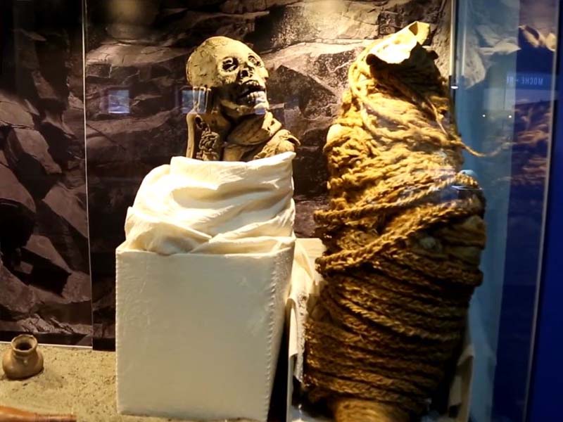 Momia en el Museo Arqueológico de Áncash "Augusto Soriano Infante"