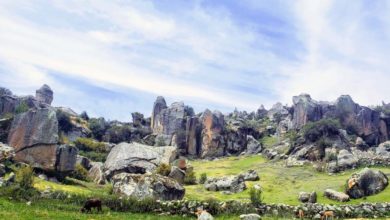 Bosque de Piedras de Huaraca en Ayacucho