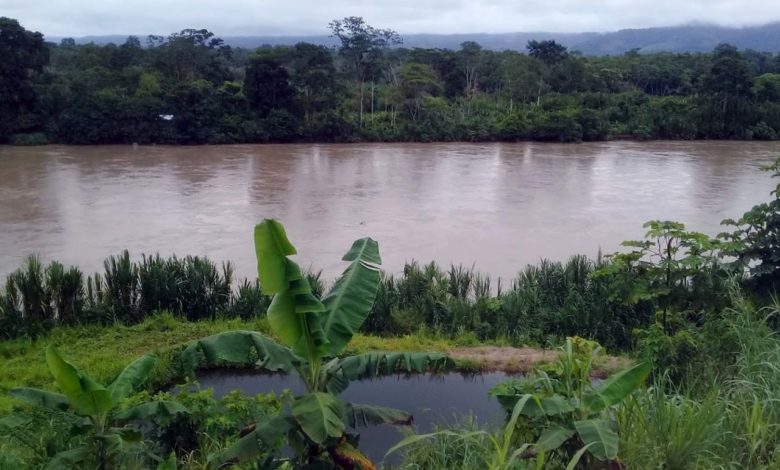 Provincia de Tocache en San Martin