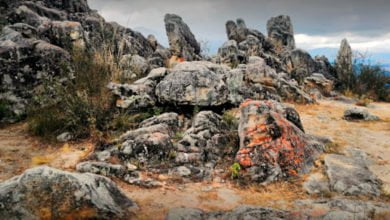Bosque de piedra Los sapitos Cajamarca