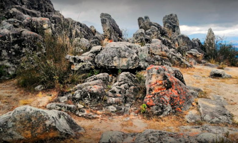 Bosque de piedra Los sapitos Cajamarca